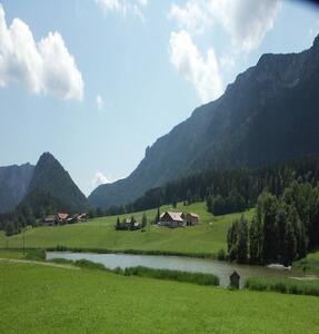 51_frossee