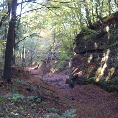 Hexenteich und Felswand