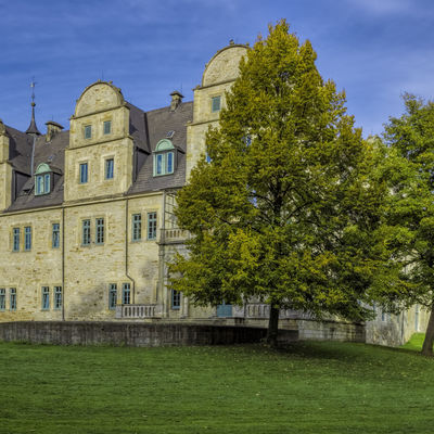 Bild vom Schloss in Stadthagen, teils überdeckt von einem Baum